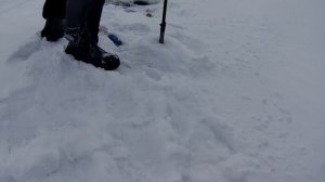 ТЕПЛО СТЕЛЬКИ. Тестирую стельки САМОГРЕВЫ. Действительно ли ГРЕЮТ 7 ЧАСОВ??? СТОИТ ЛИ БРАТЬ!!!