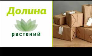 ?Распаковка посылки саженцы, луковицы растений (тюльпаны, лилии, гладиолусы).