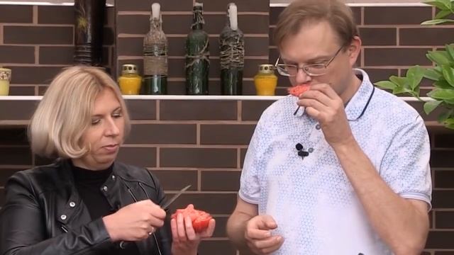 Лучшие томаты 2019. Дачные сезоны с Мариной Рыкалиной смотреть онлайн