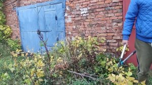 Gardena сучеорез приходит на помощь когда кусторезом не подлезть. Обрезка кустарнрка и поросли.