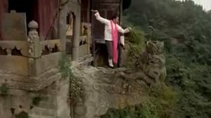 The KUNFU COBRA STYLE