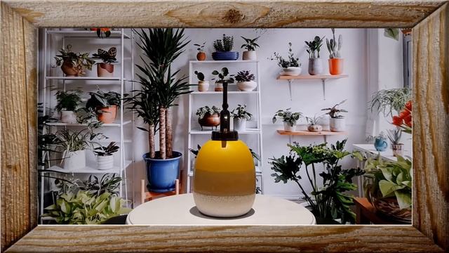 Mojave Glaze Yellow Ceramic Mister By Sass & Belle [#EBAY] смотреть онлайн