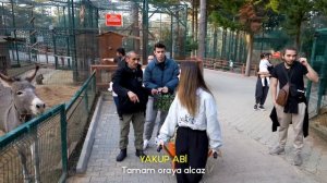 24 SAAT VAHŞİ HAYVAN BAKICISI OLDUK !? @AhmetCanDündar @Ahmet Can Dündar #24saat