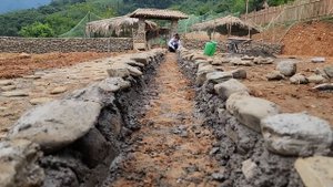Work every day: Build plant pots on both sides of the road with cobblestone|Trieu Thi Hoa Ep.121