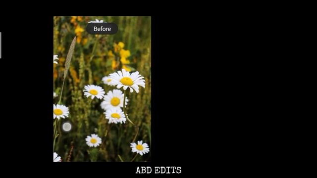 Lightroom Flower Edit || Moody Flower Editing || How to edit a Flower Image? смотреть онлайн