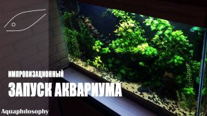 Запуск аквариума. Установка аквариума. Бюджетный аквариум