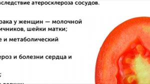 ПОМИДОР - ПОЛЬЗА__ВРЕД_