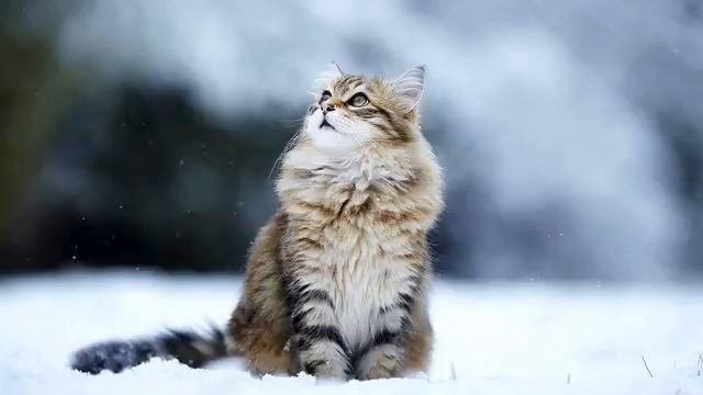Музыка вечная любовь. Лучшая романтическая песня....