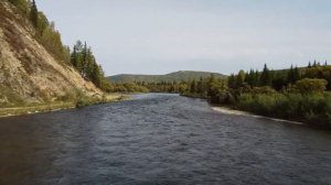 Выезжий лог.  Хозяин Тайги