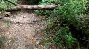 Herring Run Park in Baltimore, MD - Part 1 - A Skanky Park -Expedition Log #8