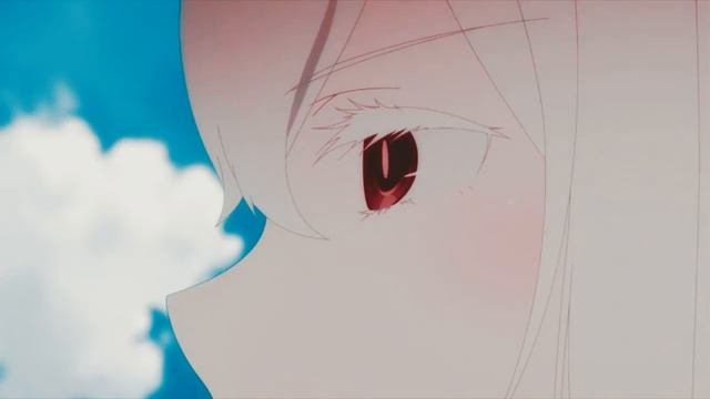 Echidna AMV