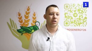 Необычная добавка: компания из Ставрополья кладёт в продукты сверчков