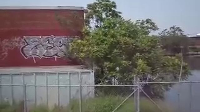 Pavane for a Dead Pigeon-electric harp, drum set, saxophone смотреть онлайн