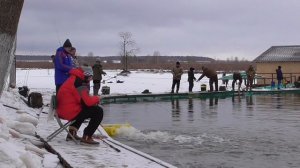 Жидкая вода   форель ловится всегда