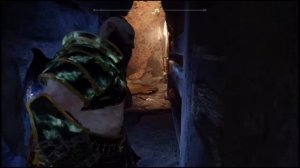 God of War Raven bug 100% and trophy /killing respawned raven 43 two times but dosent count