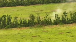 русский выжигают укропов