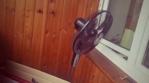 Пять ночей с котом. (Моё тупое видео)