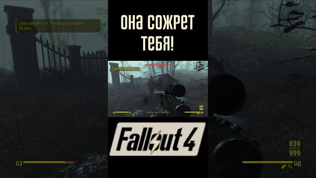 Она сожрет тебя! |Fallout 4 #Shorts