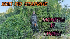 коп по старине монеты и грибы