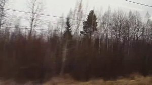 Обзор ? поезд Ласточка! Едем из Минска в Москву! Лучший поезд! Путешествуй без Ковид