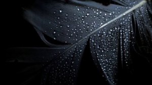 Cavetown - Devil Town ( slowed )