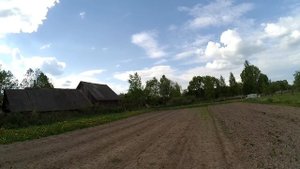 Огород и теплица, как избавился от хвоща на огороде