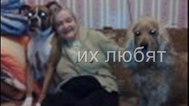 конкурсная Вика смотреть онлайн