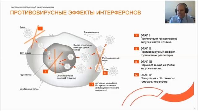 Актуальные вопросы в практике врача терапевта