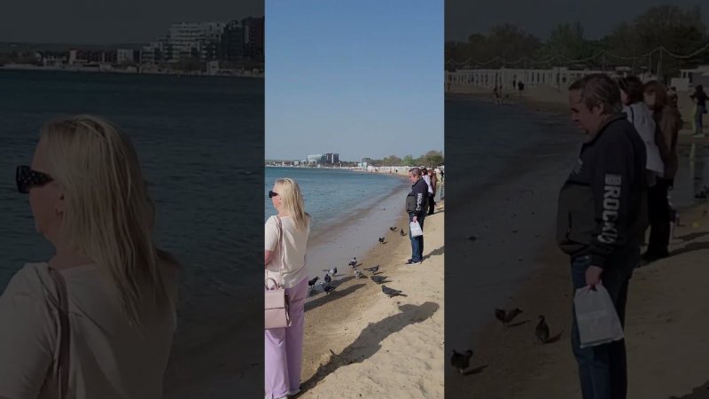 Анапа.Кормим лебедей на центральном пляже.
