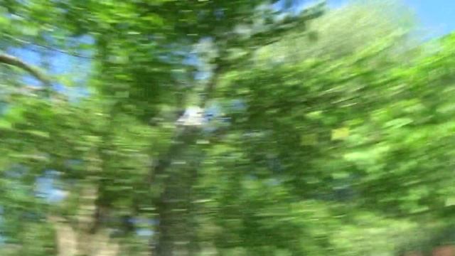 ЛЕТНЯЯ ЧИСТКА СТАРЫХ ЯБЛОНЬ ПОСЛЕ ОБРЕЗКИ.