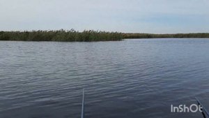 Рыбалка и охота на реке Бейсуг. Село Бейсугское.