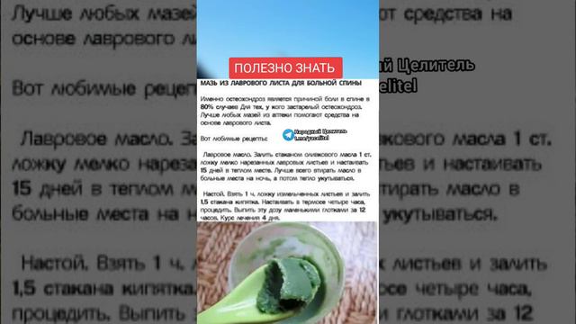 мазь из лаврового листа для больной спины #медицина #зож #здоровье #рецепт #народнаямедицина