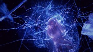 Resident Evil 6    (клип)