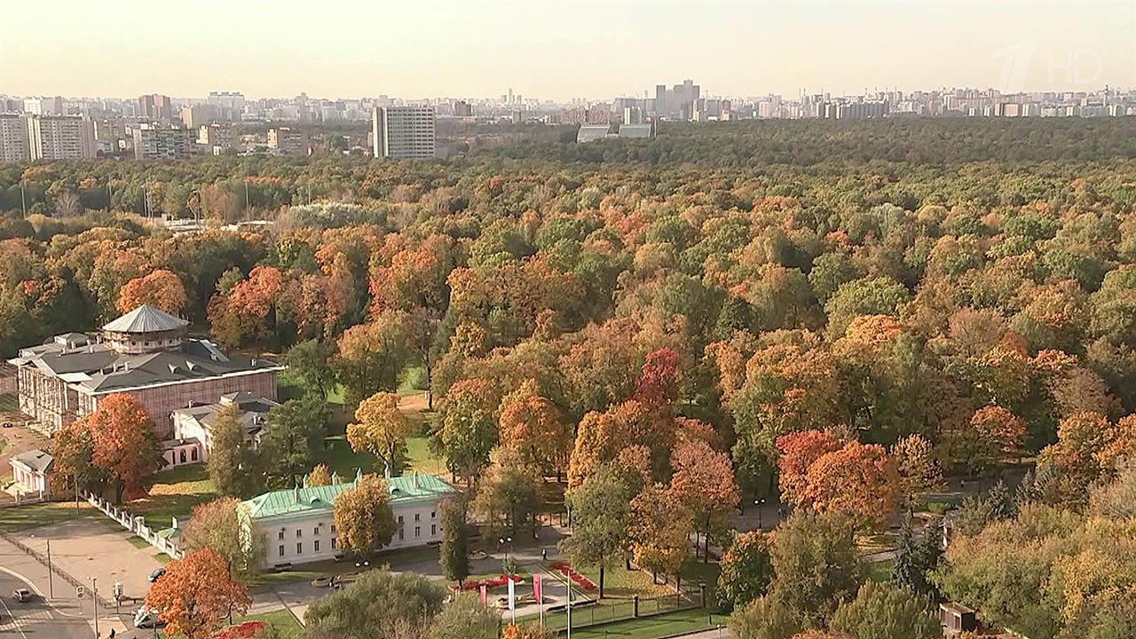 Жителей столичного региона не перестает радовать погода