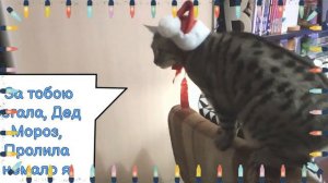 А ну-ка, давай-ка!