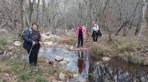 Сухая речка