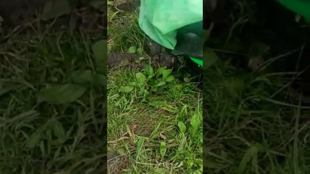 3 августа 2021 г. смотреть онлайн