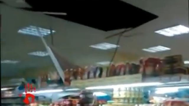 Хитрые коты сломали потолок в супермаркете, чтобы попасть в рыбный отдел смотреть онлайн