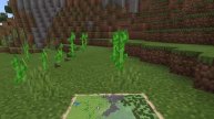 Мой сервер мобильного Minecraft (типо 2Б2Т)