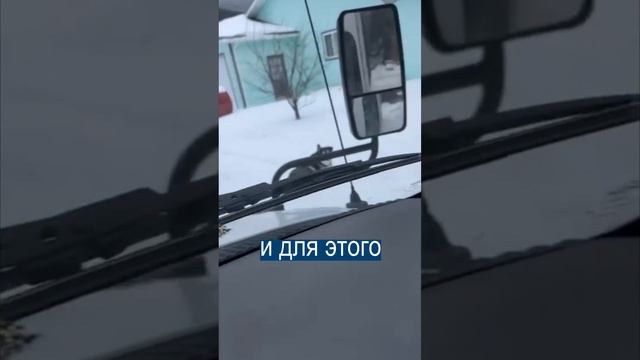 Автобус для собак: необычный способ выгула на Аляске