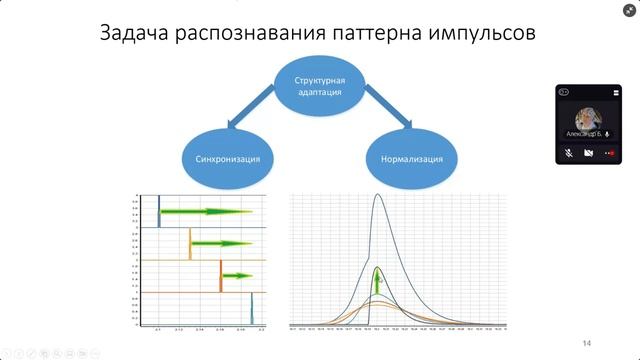 Сегментная спайковая модель нейрона CSNM (Александр Бахшиев)