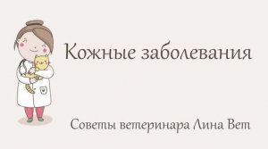 Кожные заболевания у кошек. Советы врача