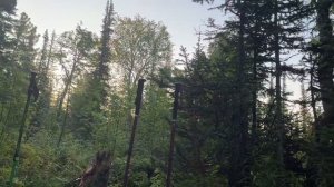 Пеший поход на Маньпупунёр. 10й и 11й дни. Тундра. Лес. Выброска.