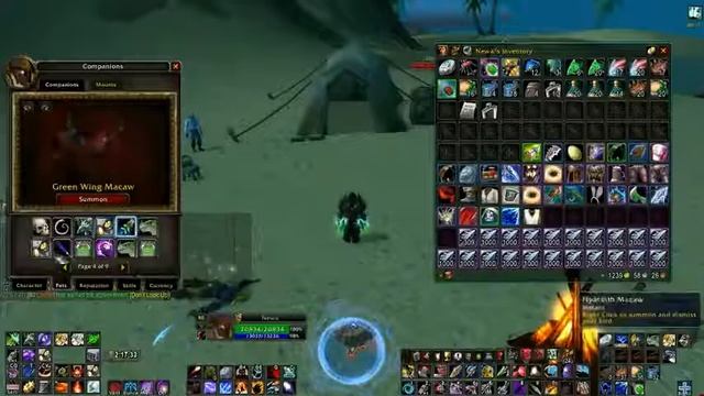 Гиацинтовый ара смотреть онлайн