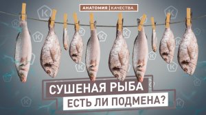 Анатомия качества | Что на самом деле кладут производители?