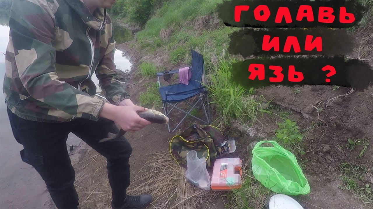 Рыбалка на р. Уфа донка и фидер попался вроде голавль