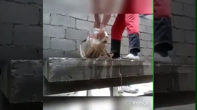 Резка стены МАХАЧКАЛА 89640090910 смотреть онлайн