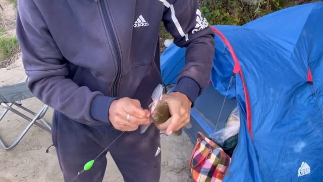 ОСЕННИЙ ЖОР СОМА И КАРАСЯ, И ПРОСТО КЛЕВАЯ РЫБАЛКА! смотреть онлайн