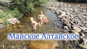 МАЙСКОЕ АЛТАЙСКОЕ