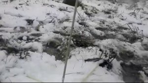 ПАДЕНИЕ АТОМНОЙ БОМБЫ!!!! ЖЕСТЬ! ПОБИЛО ВСЕХ!!!